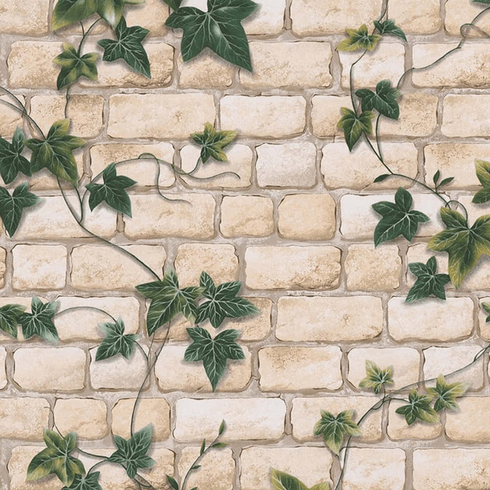 Ivy Covered Stone Wall Texture Wallpaper