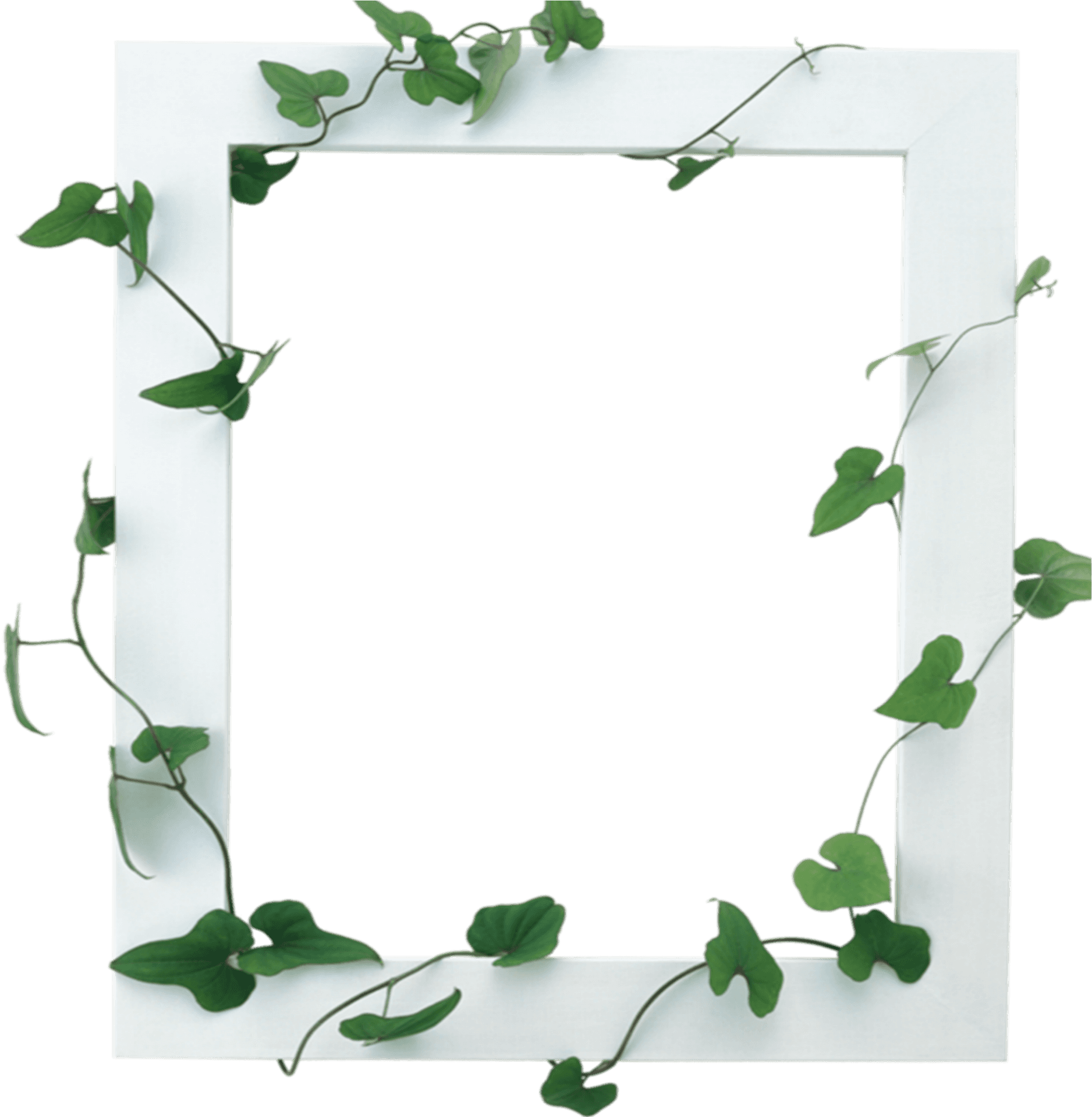 Ivy Embellished Frame Template PNG