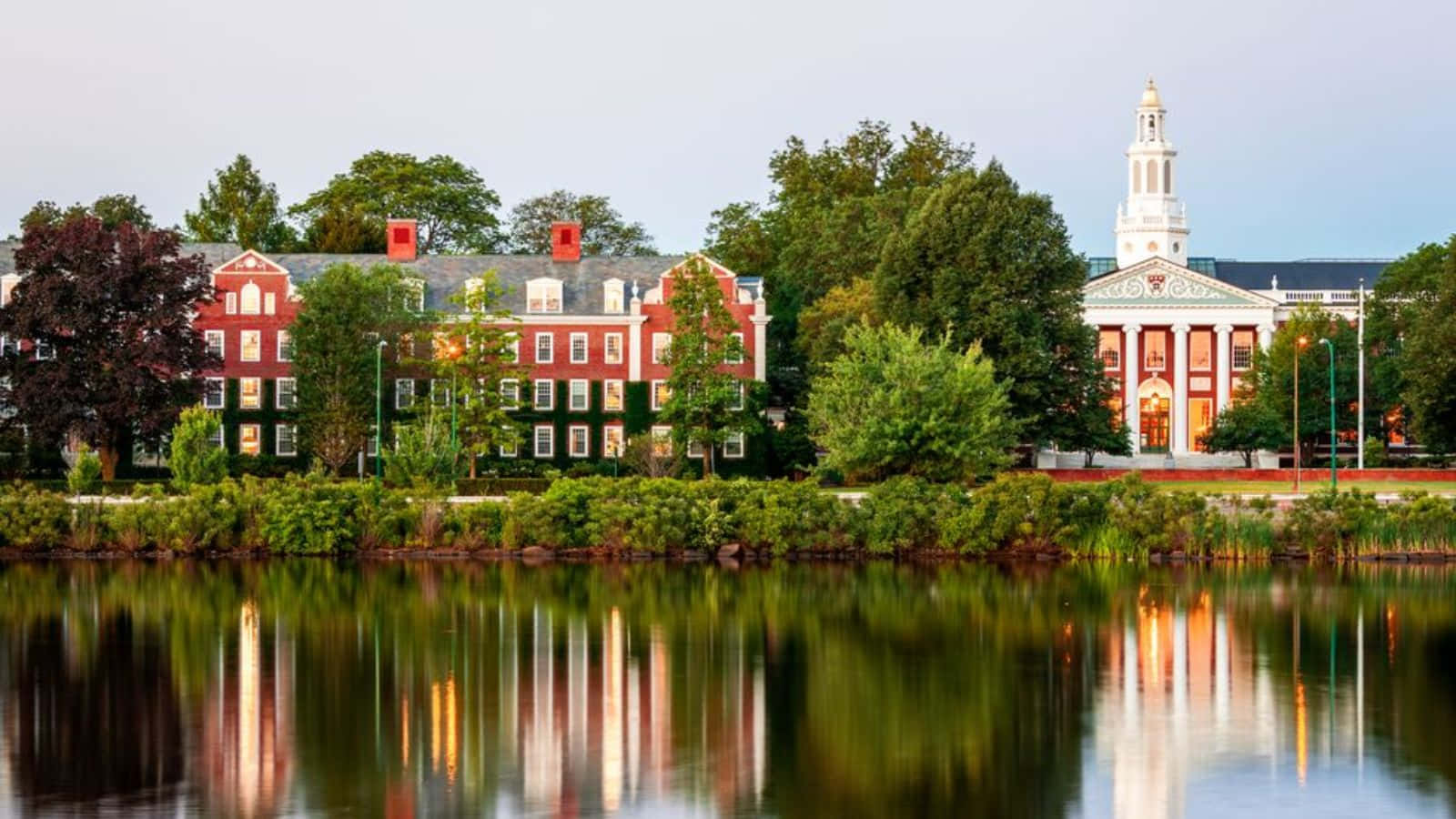 Ivy League College Reflection Wallpaper