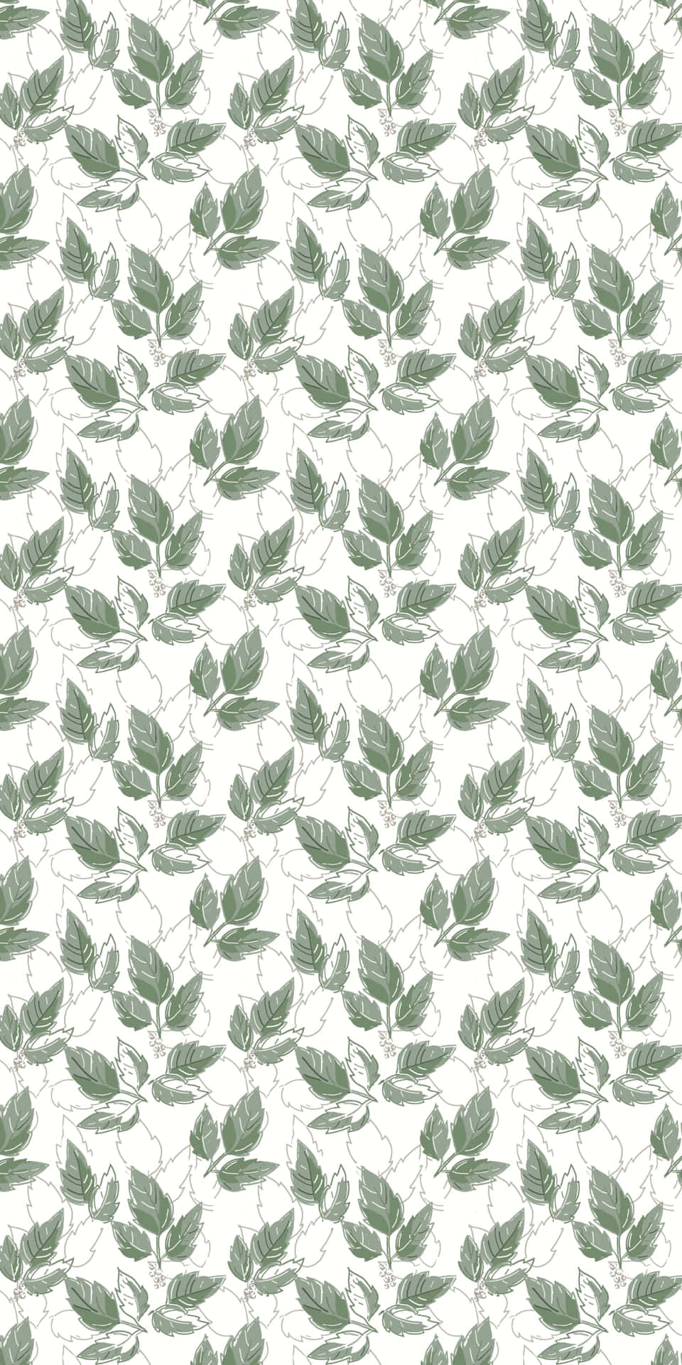 Ivy Pattern Background Wallpaper