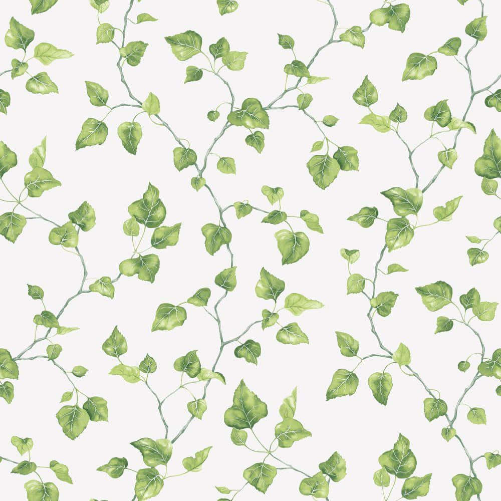 Ivy Pattern Seamless Background Wallpaper