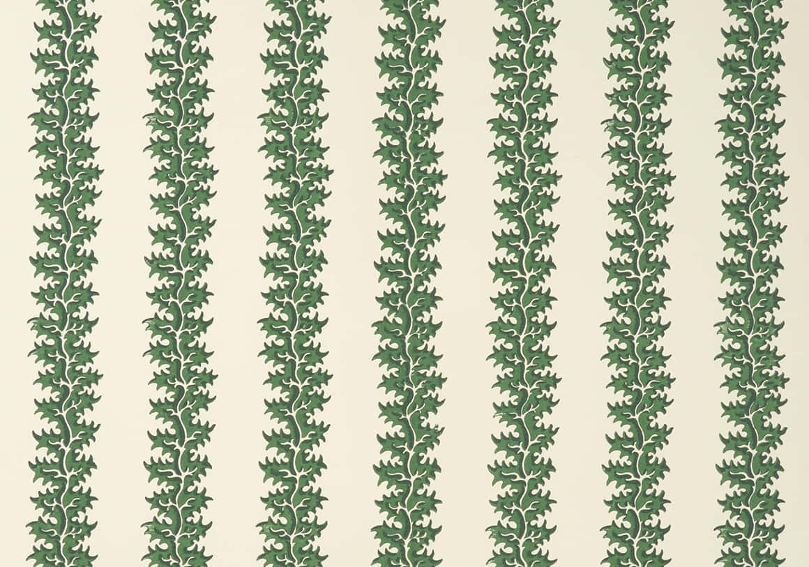 Ivy Pattern Wallpaper Design Wallpaper