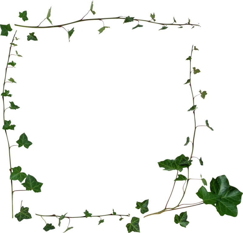 Ivy Vine Frameon Blue Background PNG