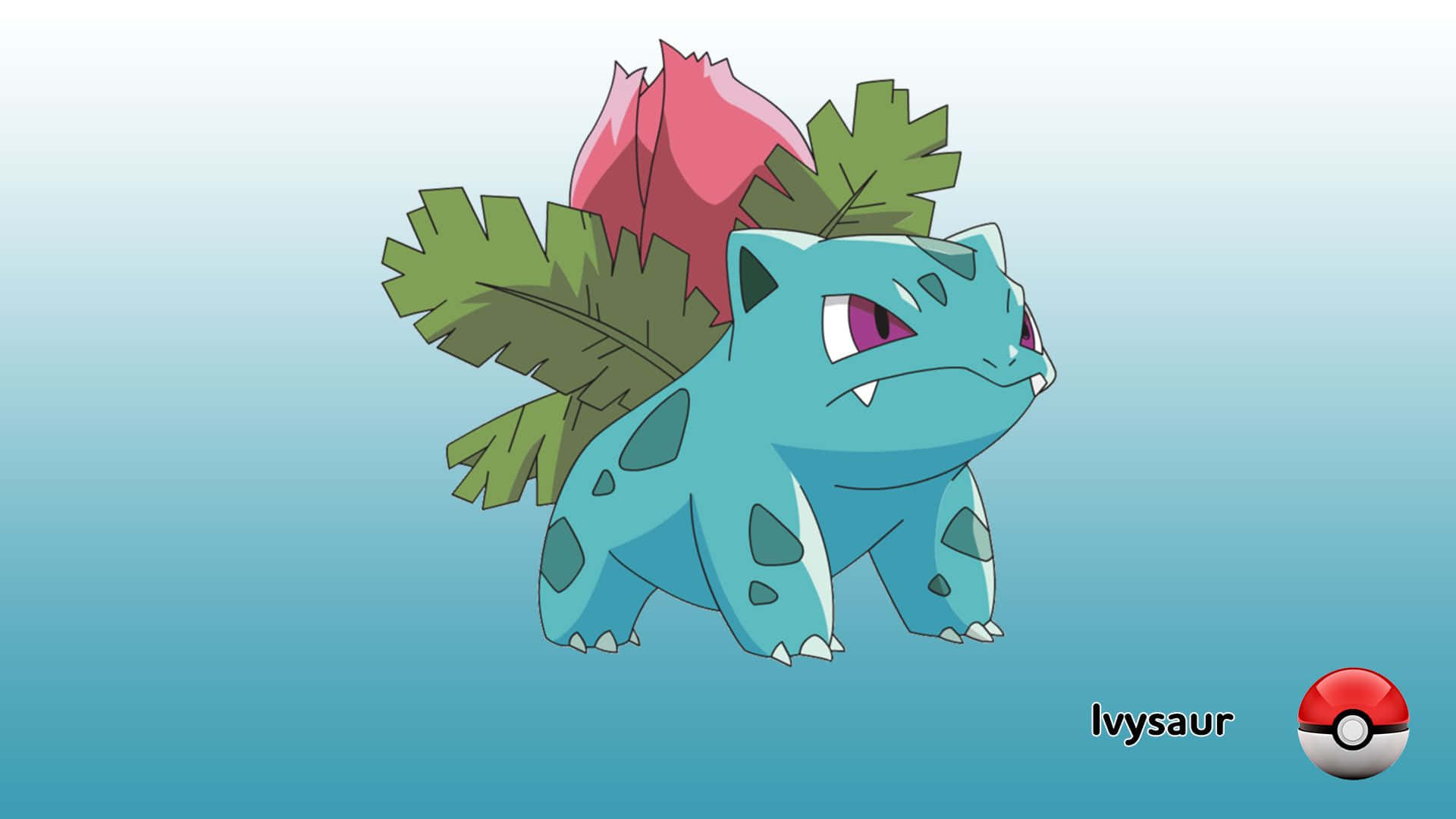 Ivysaur With A Pokémon Ball Wallpaper
