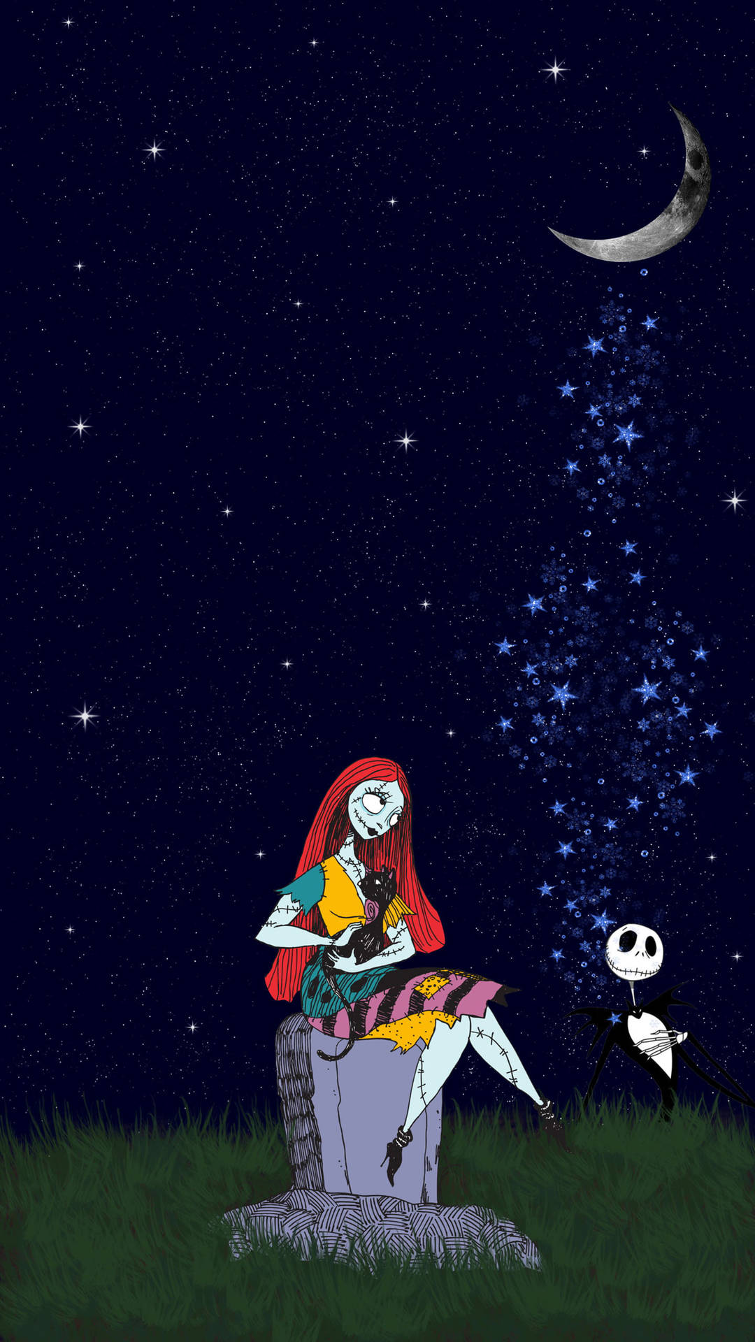 Jackund Sally, Sternenklare Nacht Wallpaper