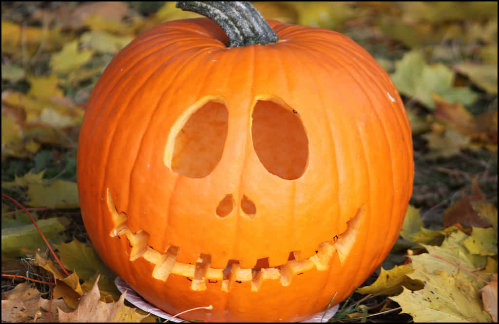 Celebrate the season with a spooky Jack O'Lantern