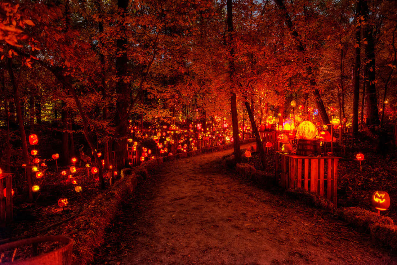 A Path With Pumpkins In It