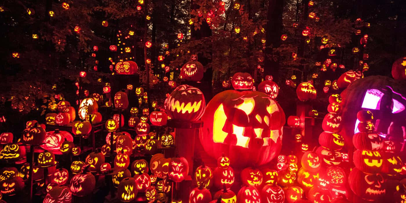 Jacko-lantern Creativo Per Un Halloween Spaventoso