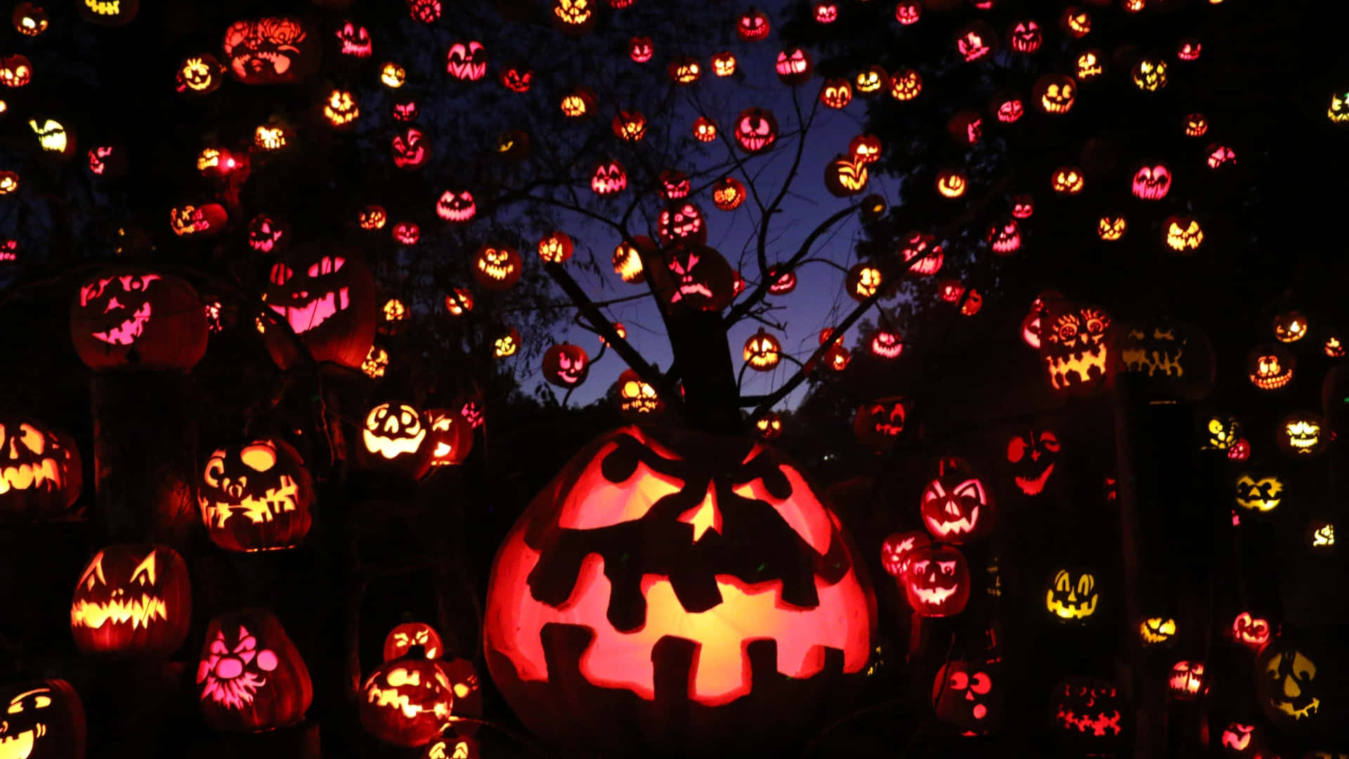 Calabazasde Halloween En La Oscuridad