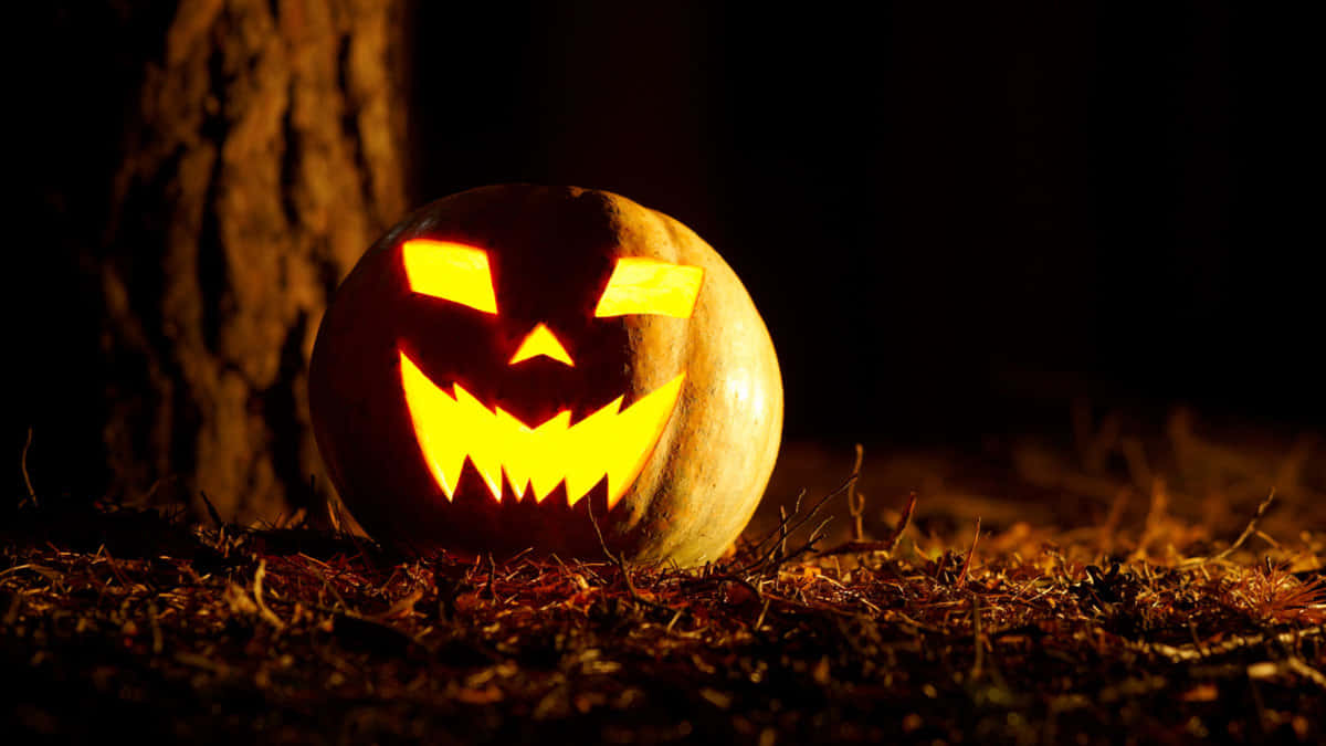 A Pumpkin With A Scary Face Is Lit Up In The Dark