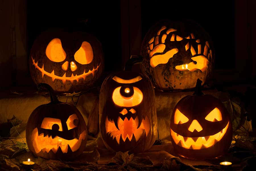 Celebrate Halloween with a Spooky Jack O Lantern