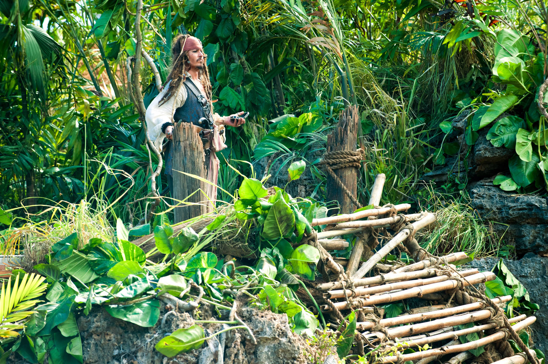 Jack Sparrow At Jungle Scene Wallpaper