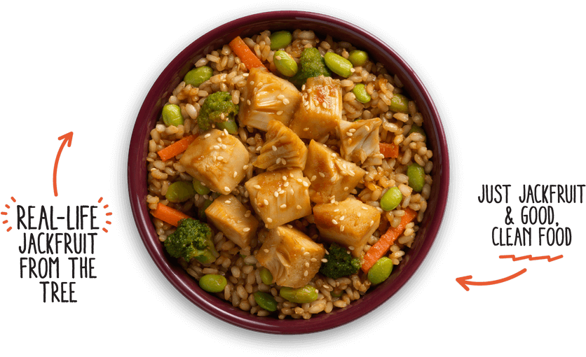 Jackfruit Bowl Healthy Vegan Dish PNG