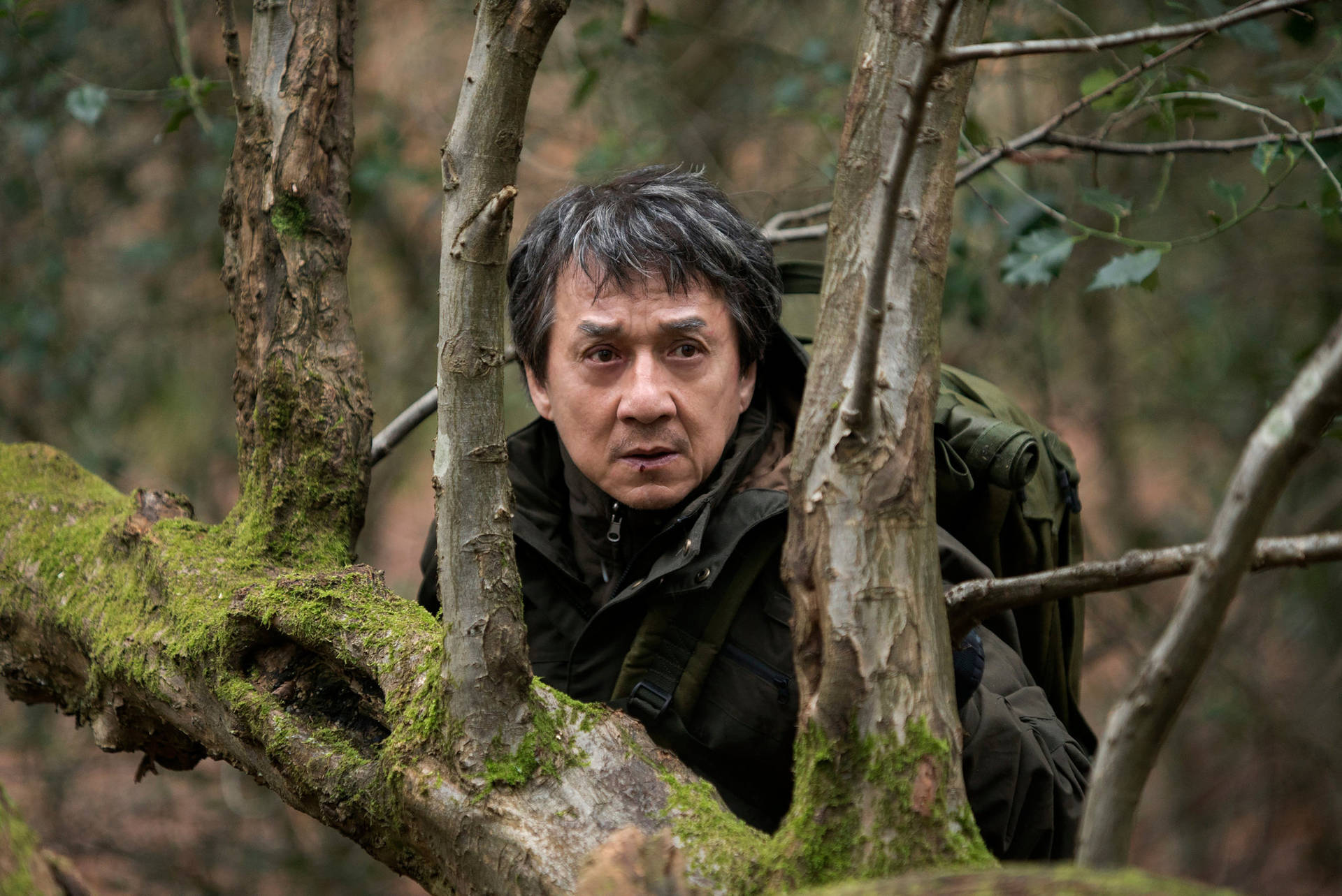 Jackie Chan In The Woods Wallpaper