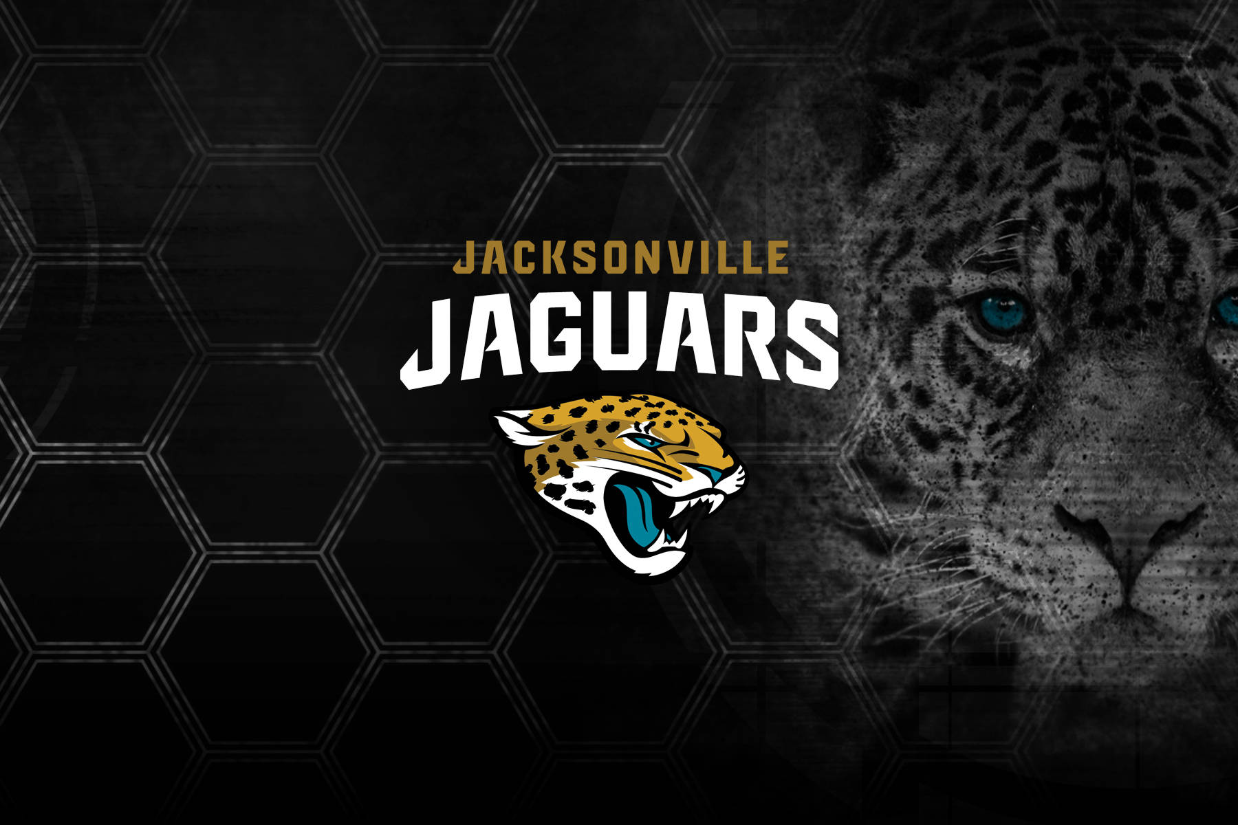 Jacksonville Jaguars Animals Wallpaper