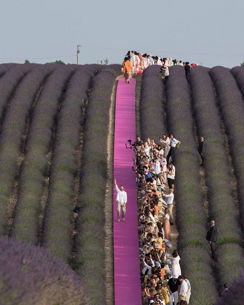 Jacquemus Fashion Show In Lavender Field Wallpaper