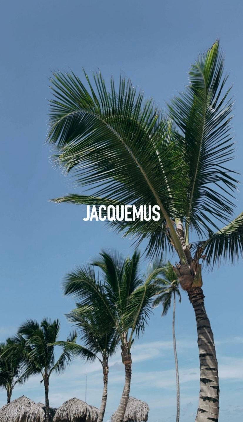 Jacquemus Palm Trees Aesthetic Wallpaper