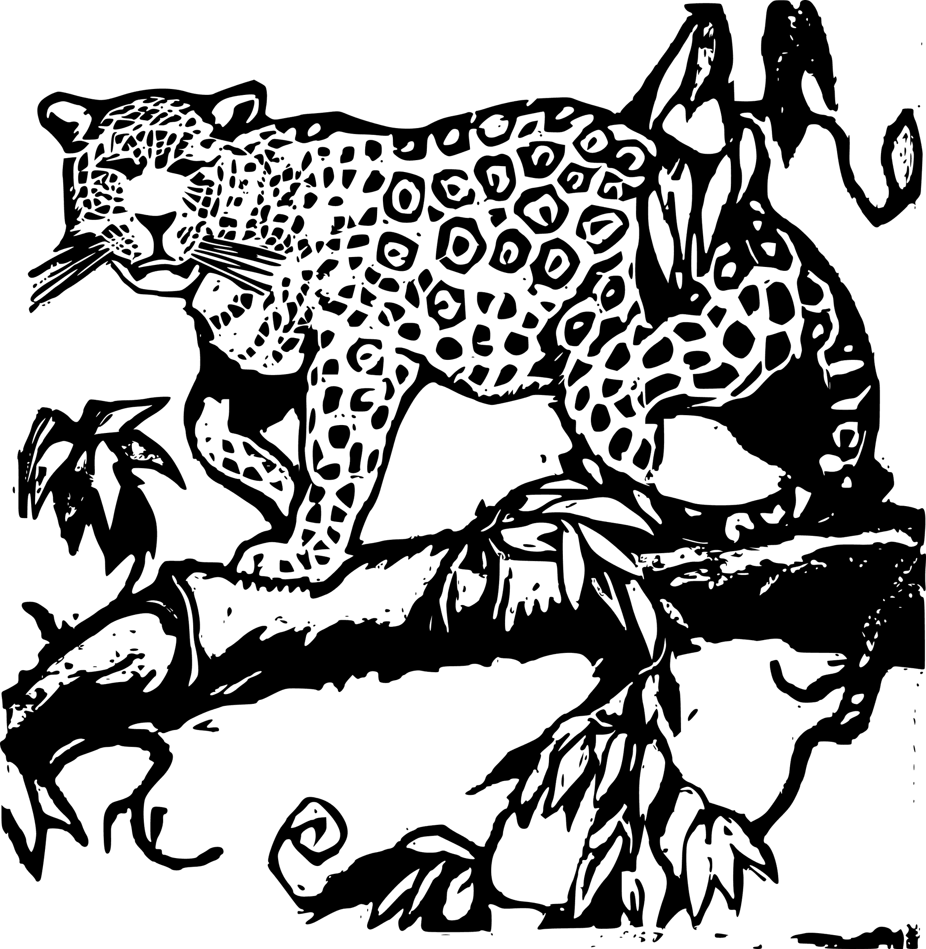 Jaguar On Tree Branch Illustration PNG