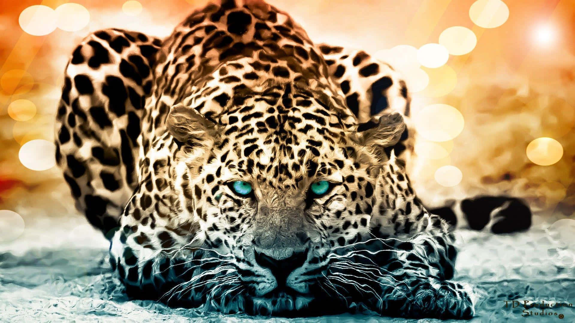 Oplevden Luksuriøse Excellence Af En Jaguar.