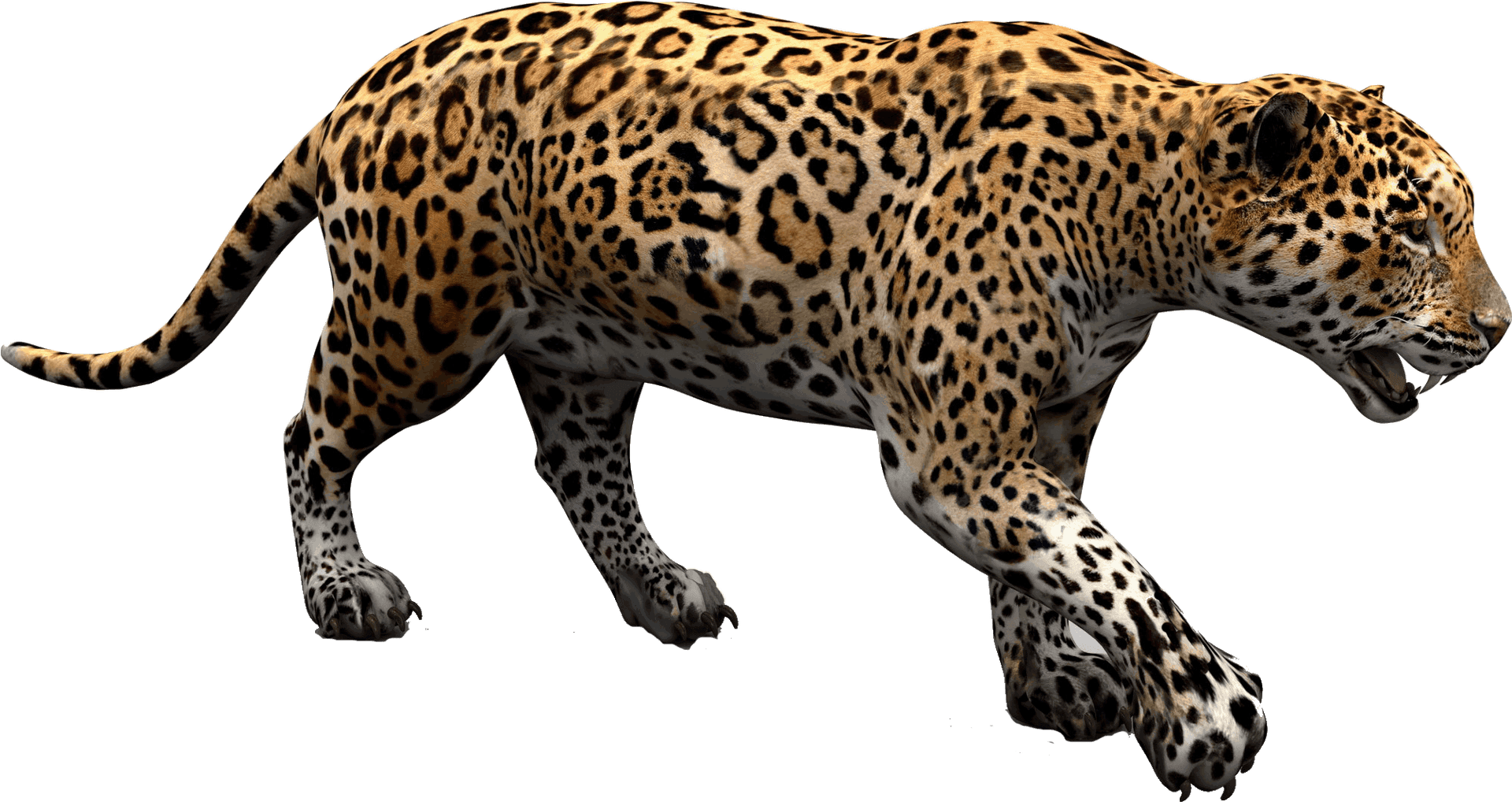 Jaguarin Stride PNG