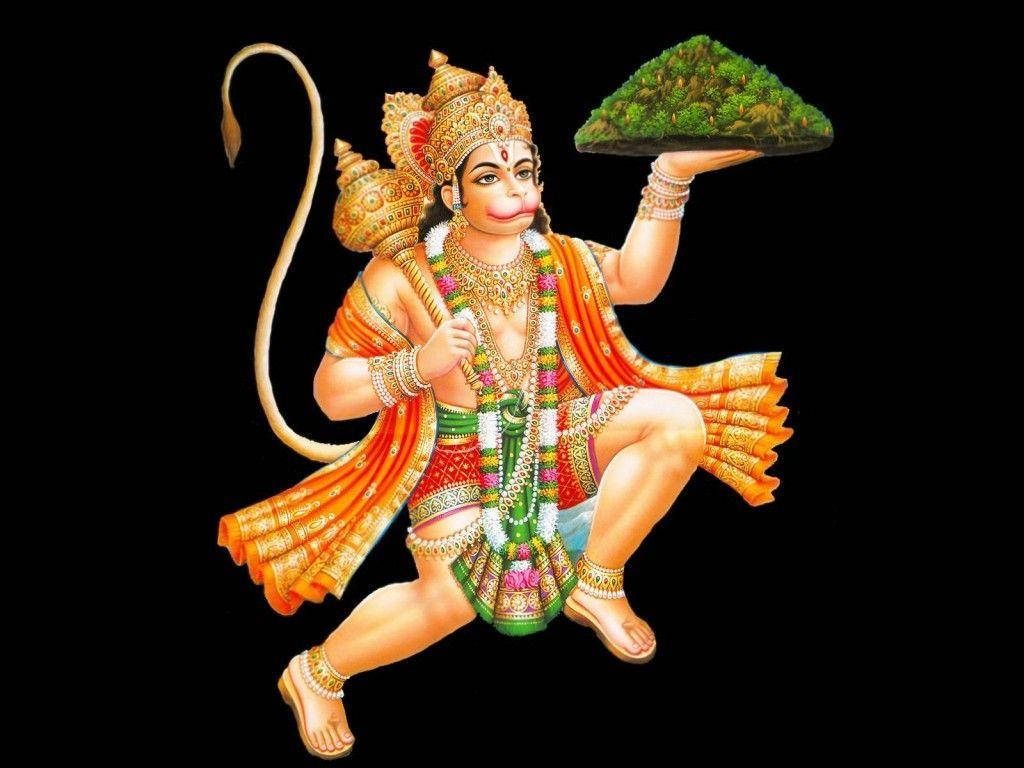 Jai Hanuman Herb Sanjeevani Wallpaper