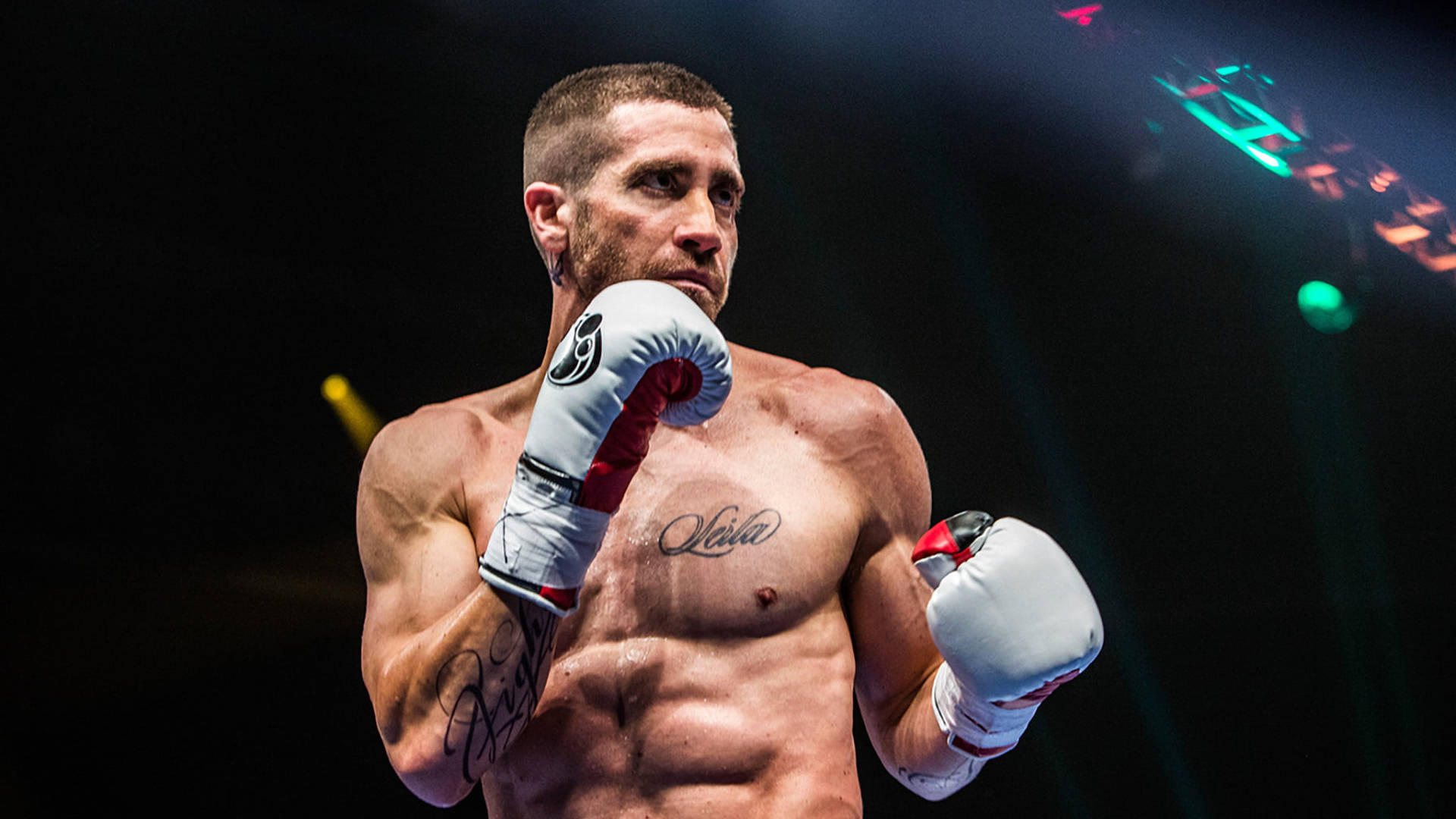 Jake Gyllenhaal With Boxing Gloves