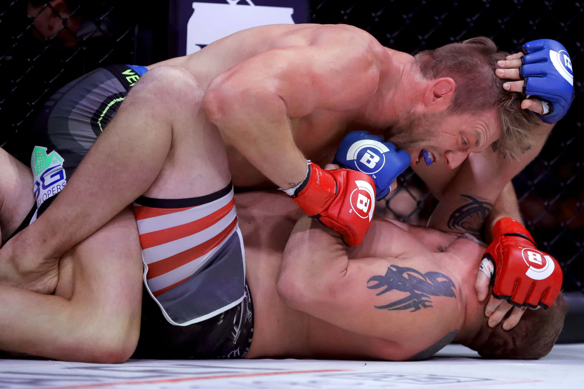 Jake Hager vinder sin MMA-debut Wallpaper