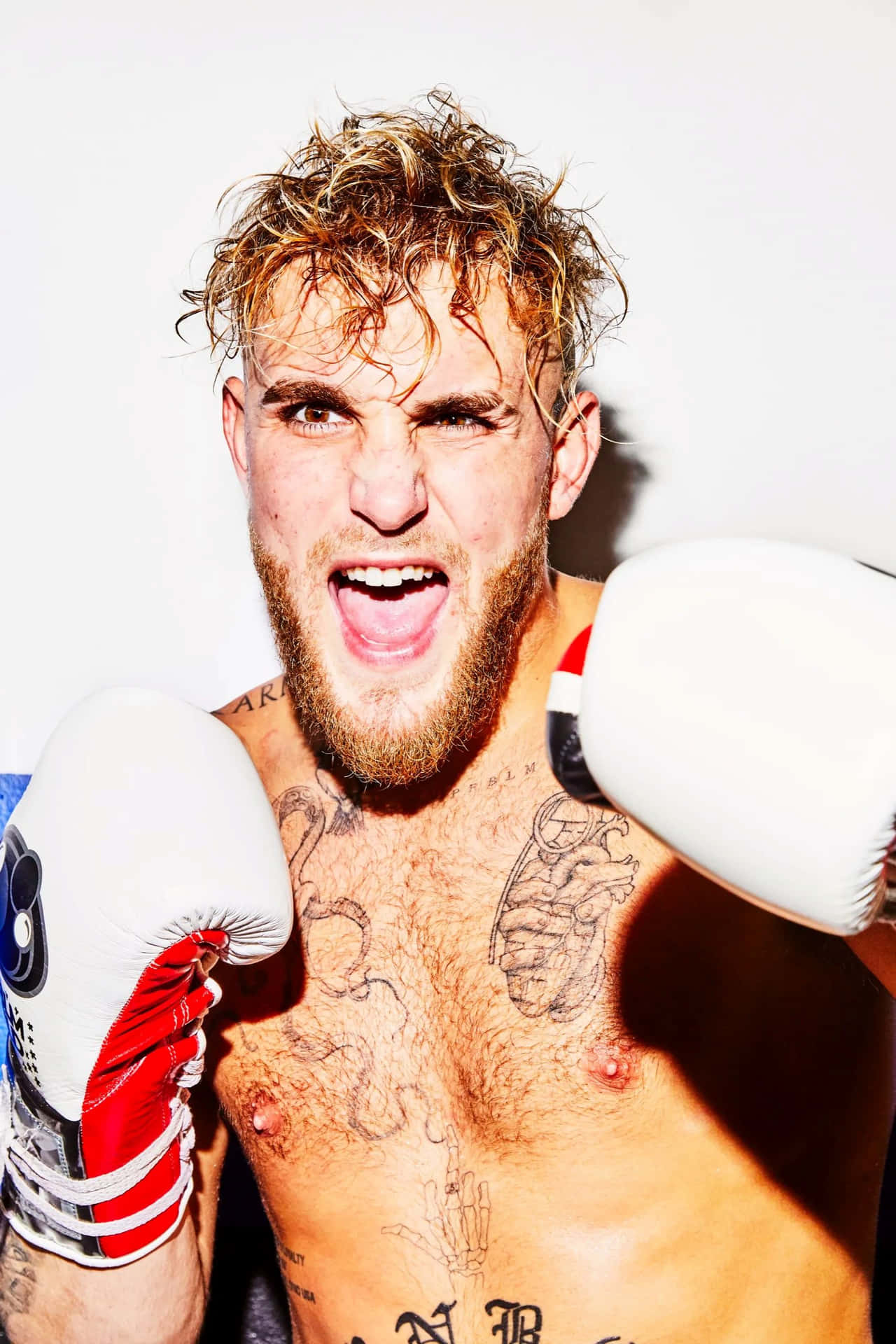 Jake Paul Boxing Gloves Portrait Wallpaper