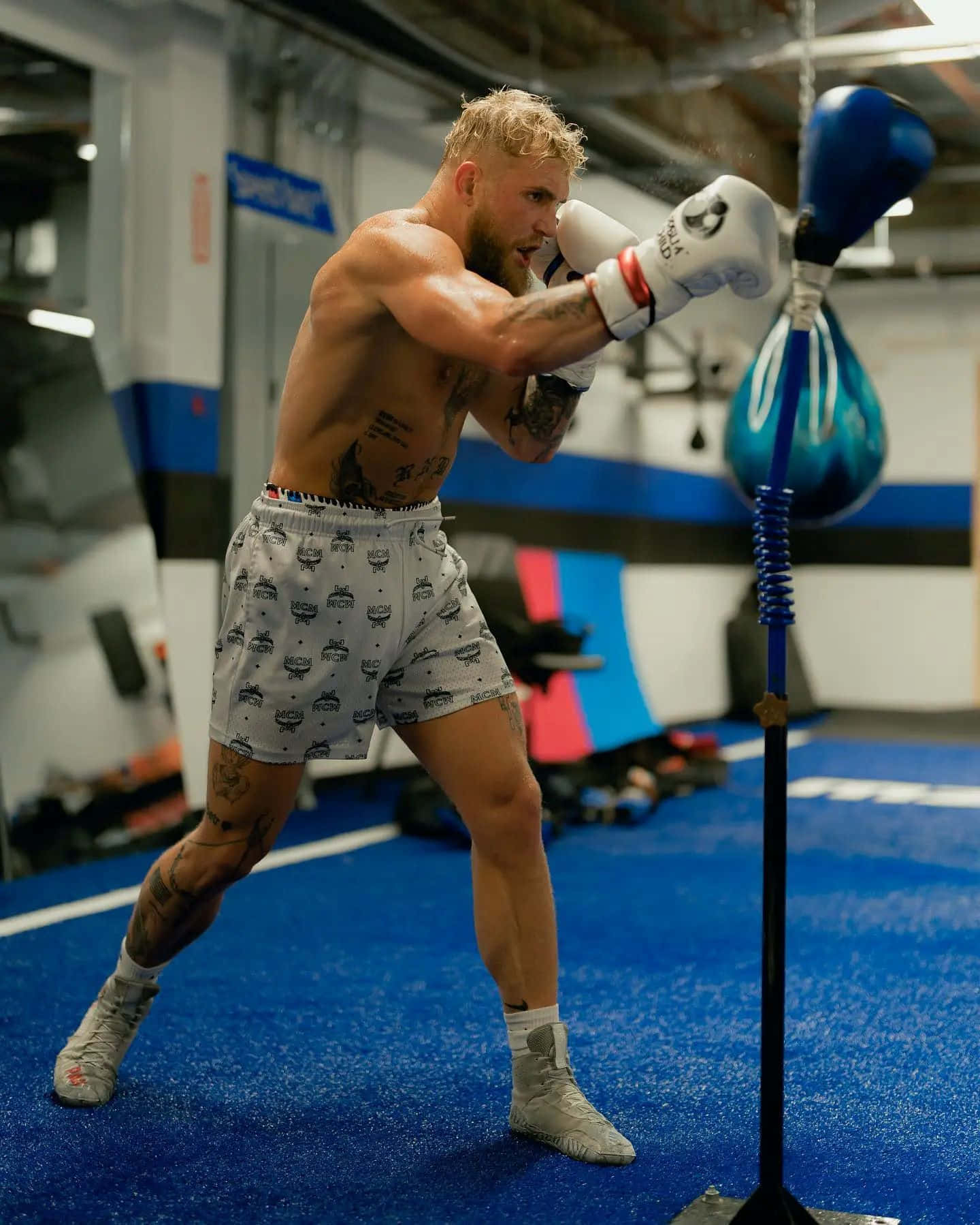 Jake Paul Boxing Training Wallpaper