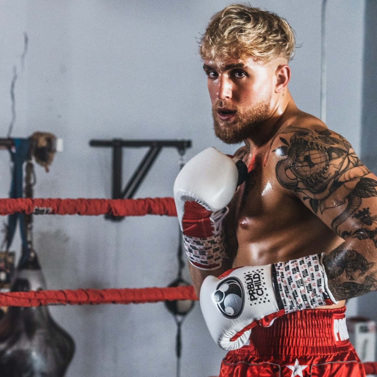 Jake Paul Boxing Training Wallpaper