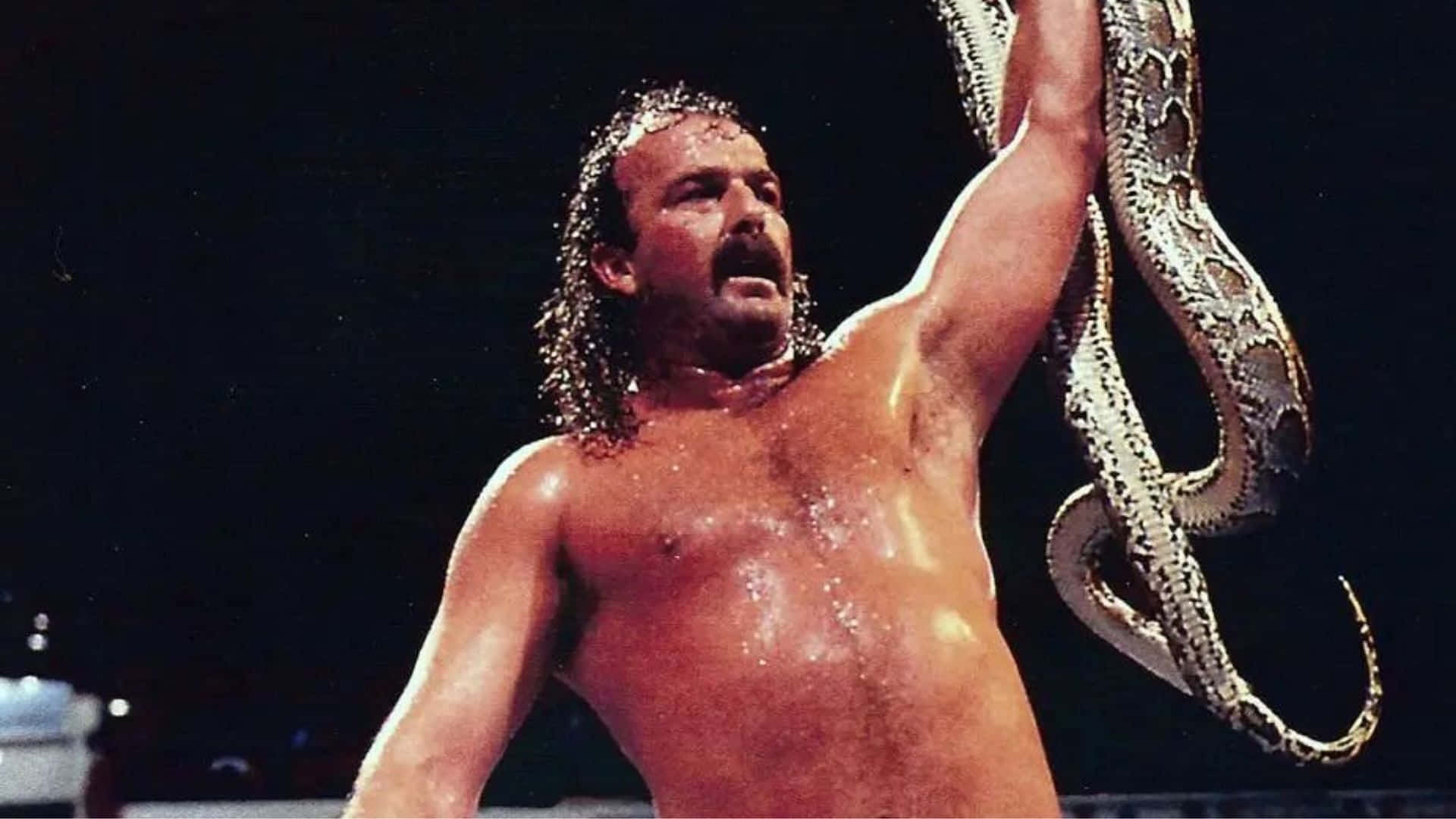 Jake Roberts The Resurrection Of Jake The Snake Picture