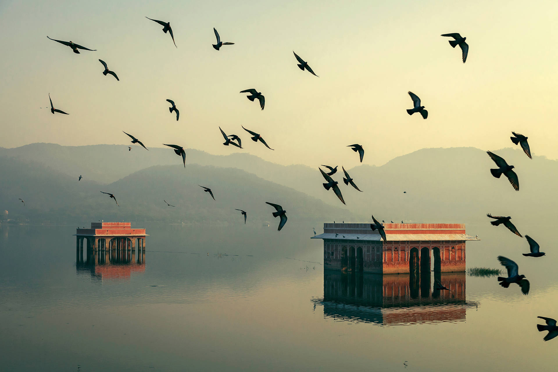 Jal Mahal Jaipur Surrounded By Birds Wallpaper