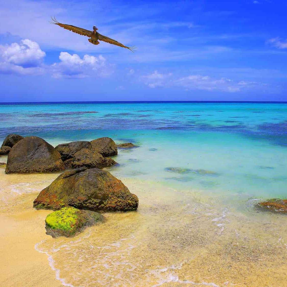 Caption: Vibrant Jamaican Beach Paradise