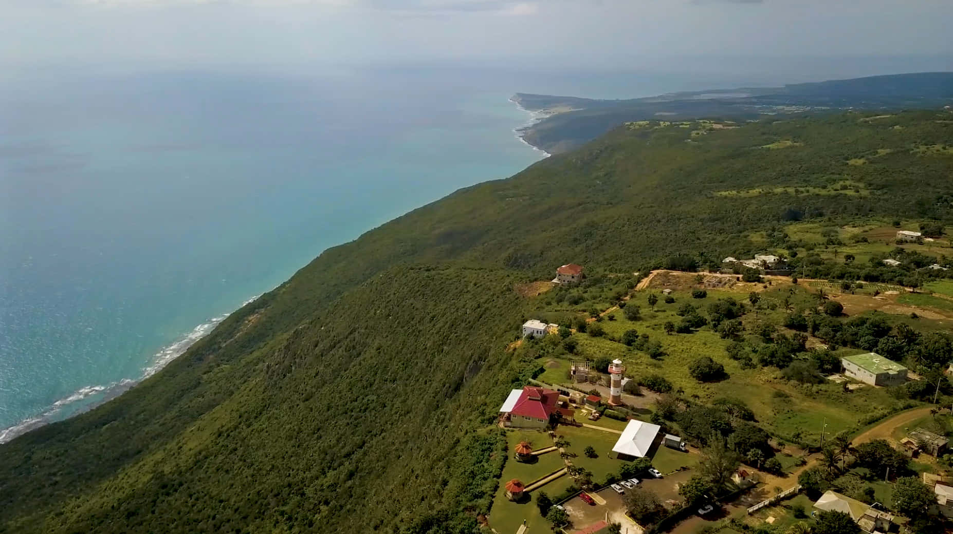 Vibrant Jamaican Landscape