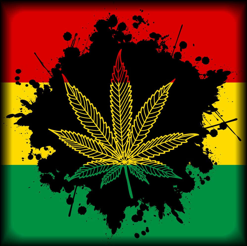 jamaican colors weed