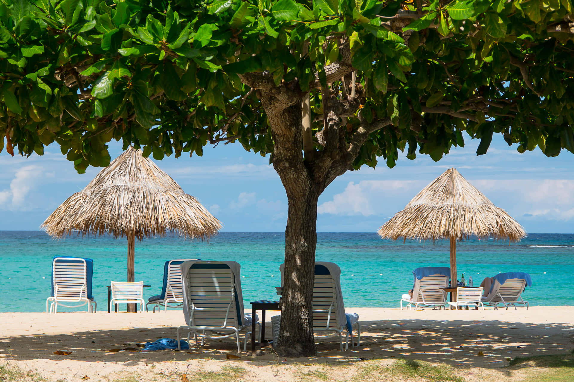 Wandering the idyllic shores of Jamaica