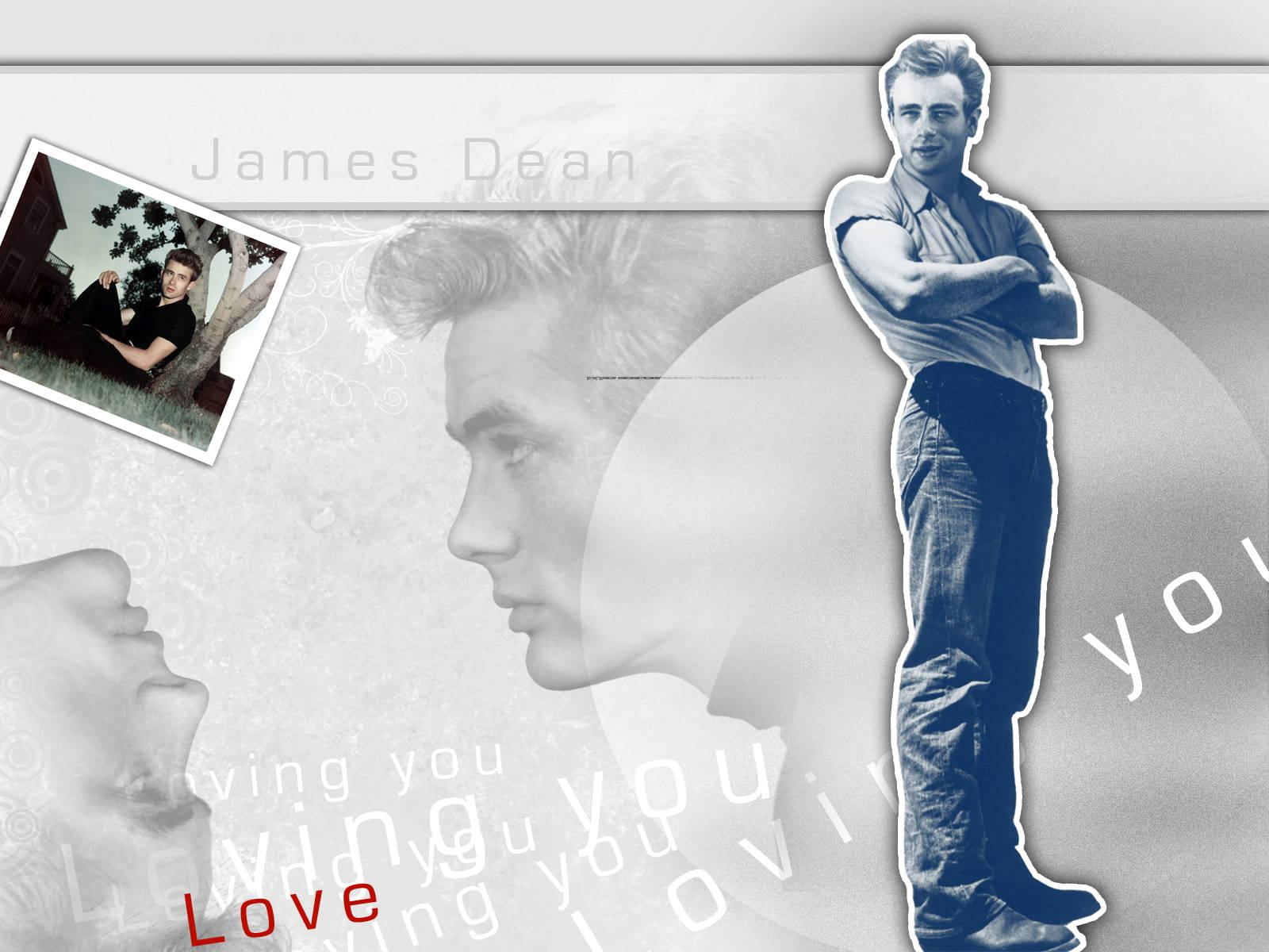 James Dean Loving You Wallpaper