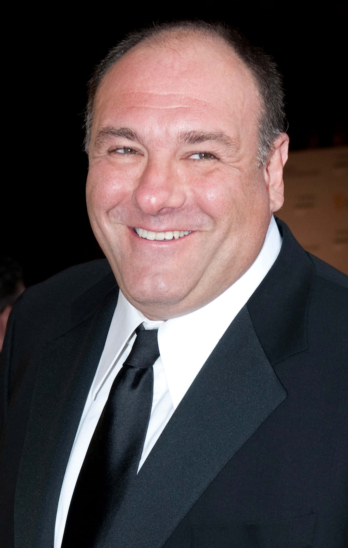 Caption: Renowned Actor James Gandolfini Posing Wallpaper