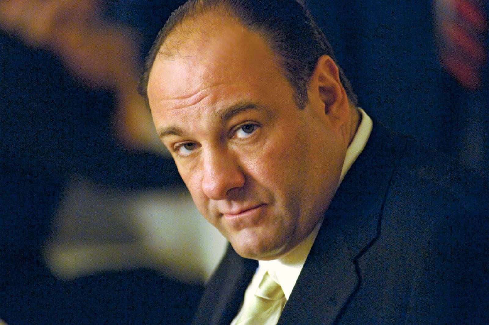 Jamesgandolfini Is An American Actor Best Known For His Role As Tony Soprano In The Tv Series 