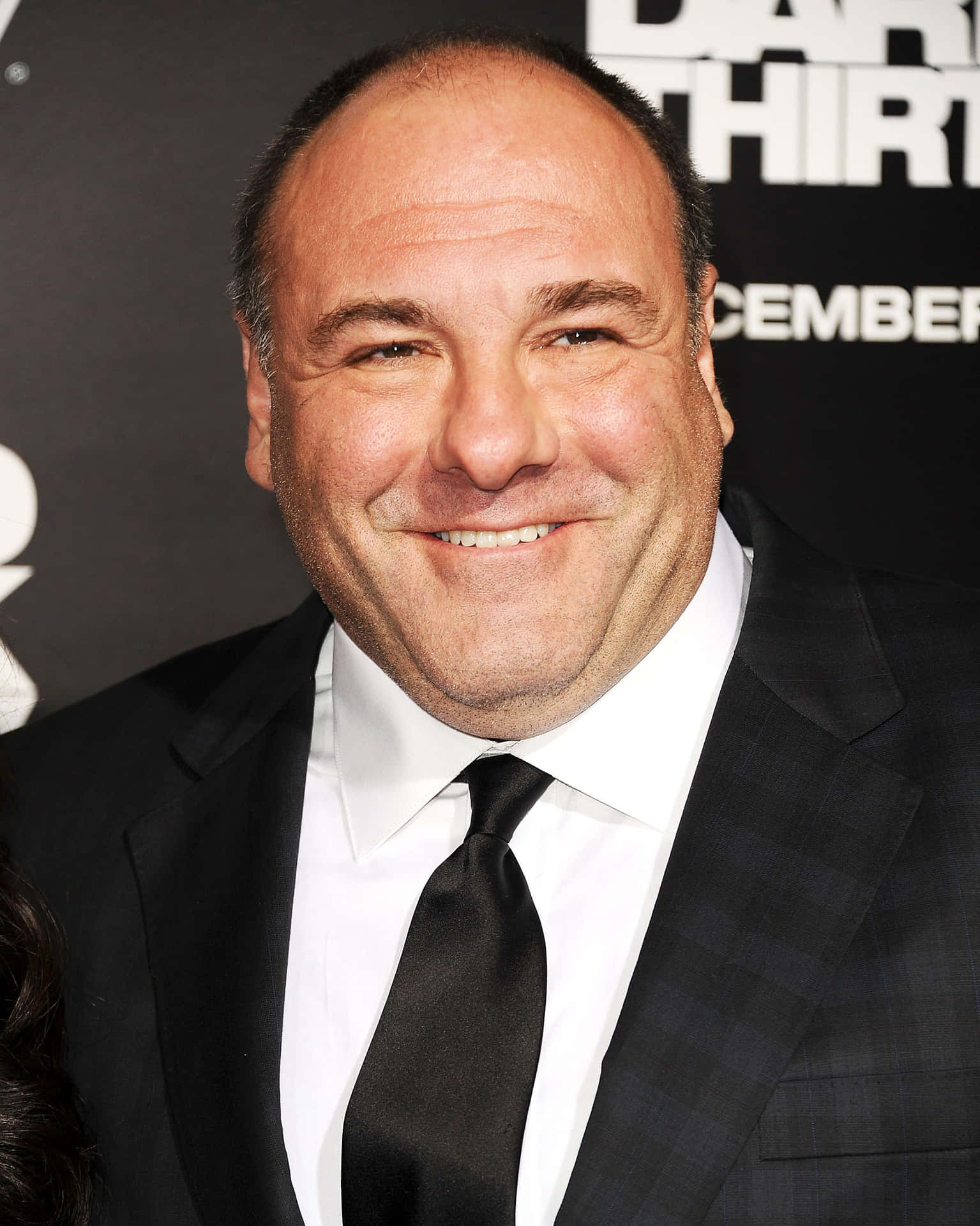Jamesgandolfini Is An Actor Who Is Known For His Role As Tony Soprano In The Tv Series 