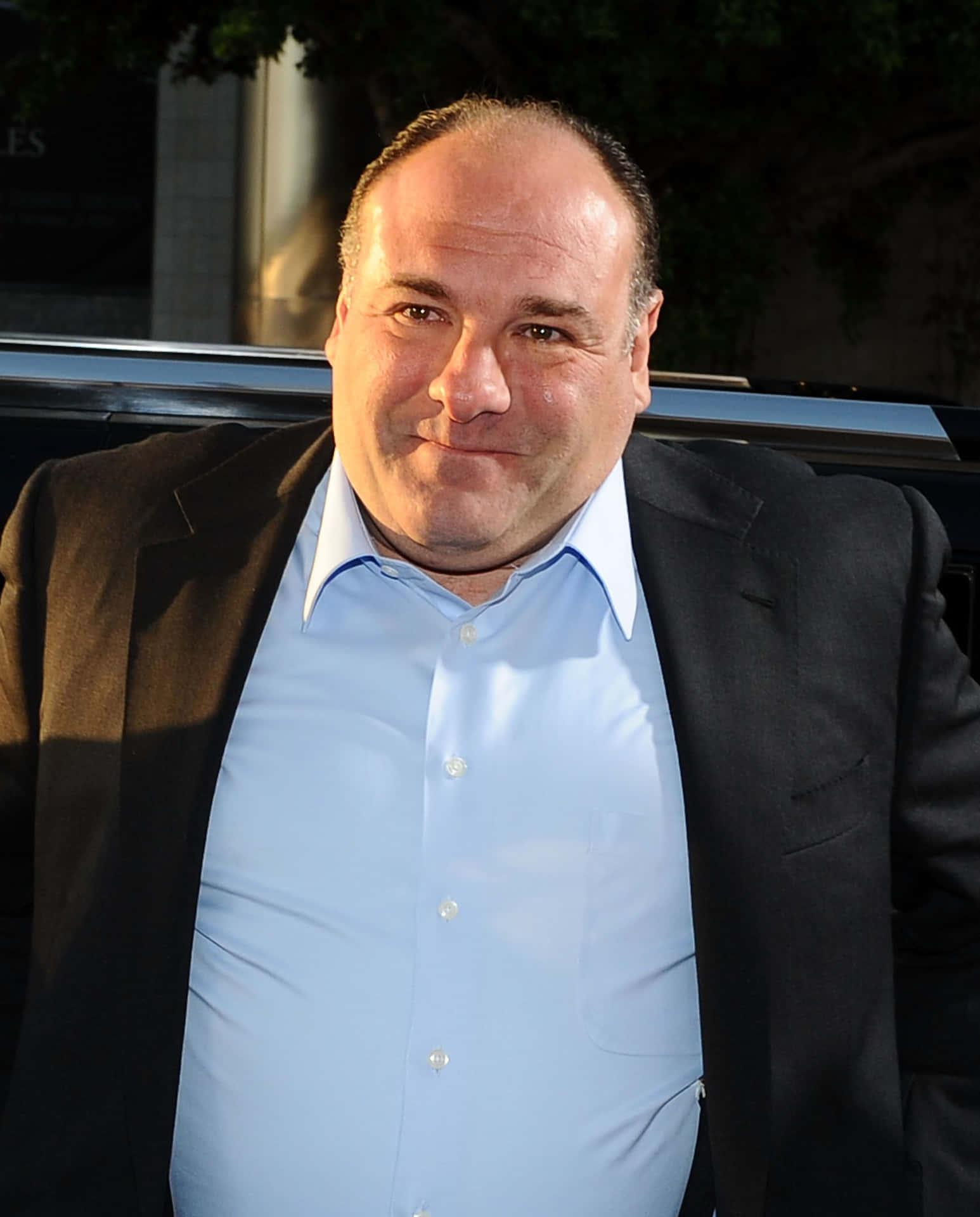 Jamesgandolfini Is An Actor Known For His Role As Tony Soprano On The Tv Series 