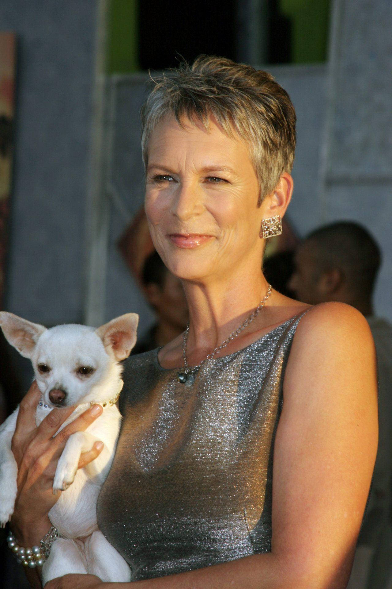 Jamie Lee Curtis With A Chihuahua