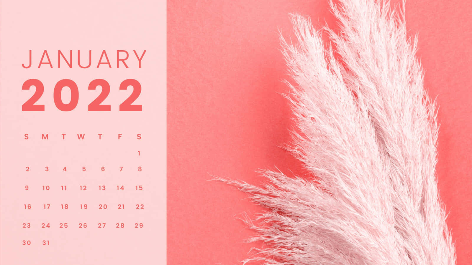 January 2022 Calendar on an Elegant Abstract Background