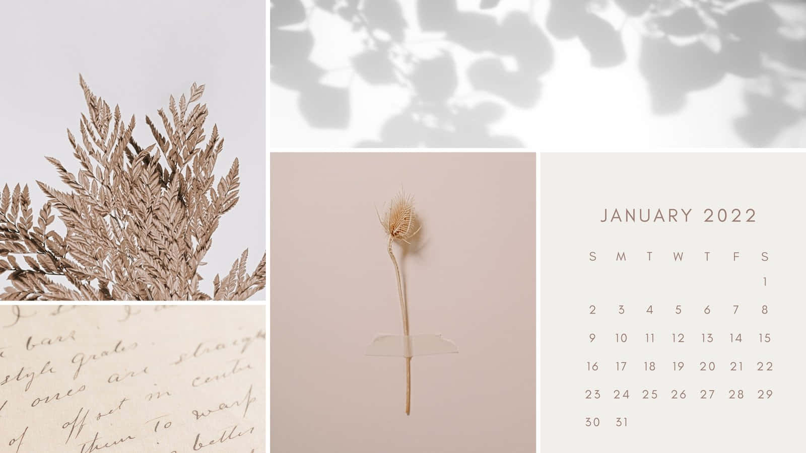 Stunning January 2022 Calendar Background