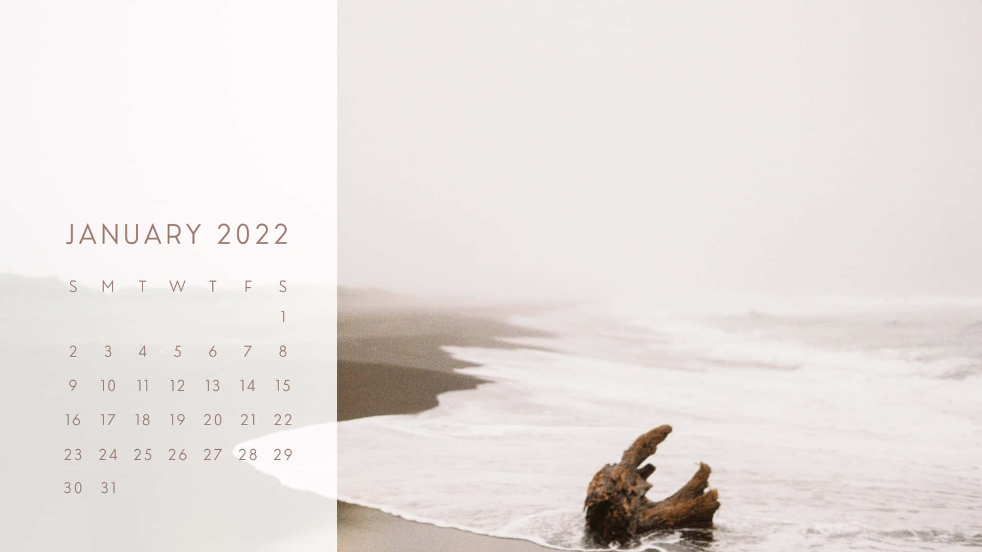 January 2022 Calendar Desktop Wallpaper