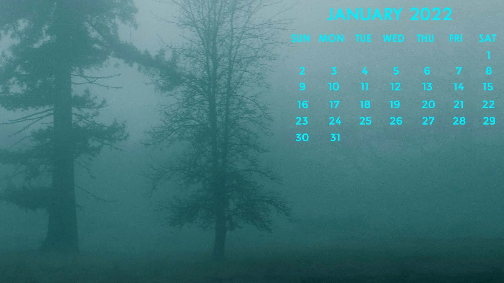 Januari2022 Kalender 1920 X 1080 Bakgrundsbild