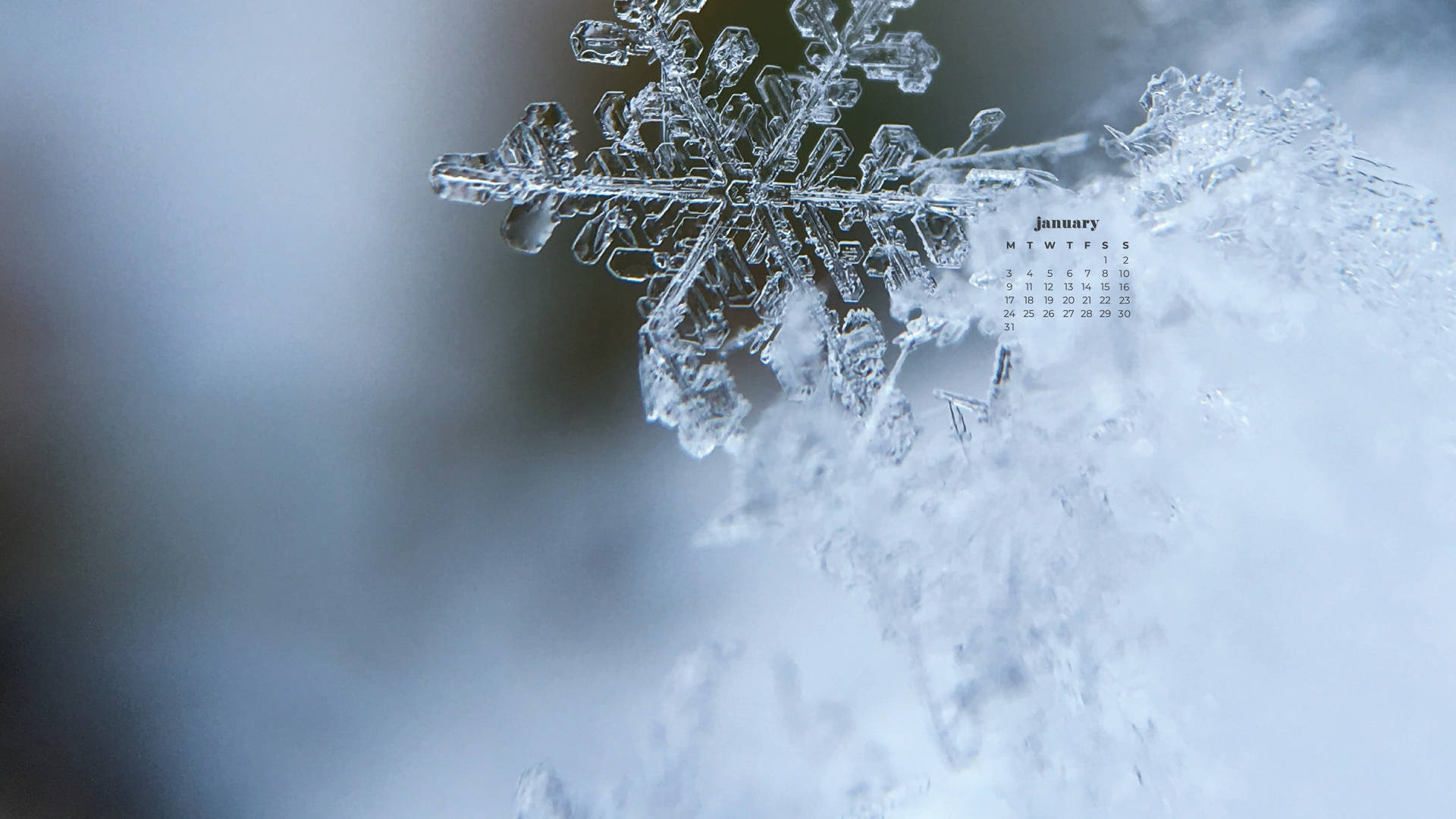 January 2022 Calendar Snowflake Close Up