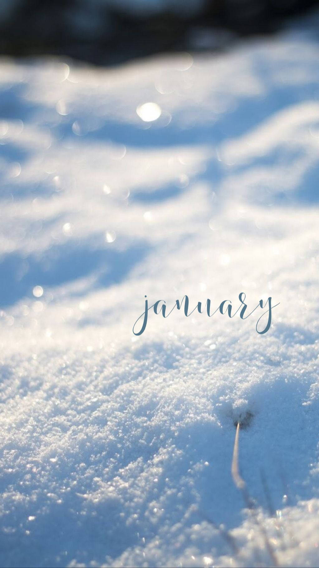 January Glimmering Snow Wallpaper