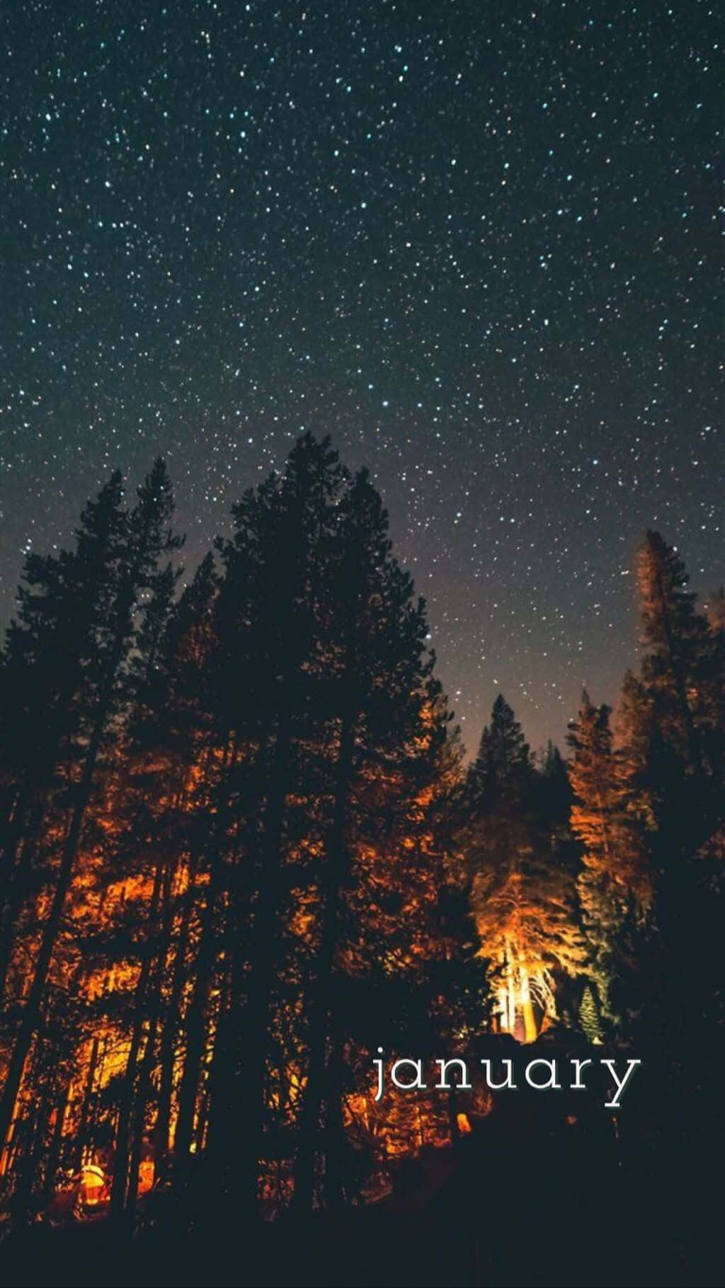 January Night Sky Forest Campfire Wallpaper