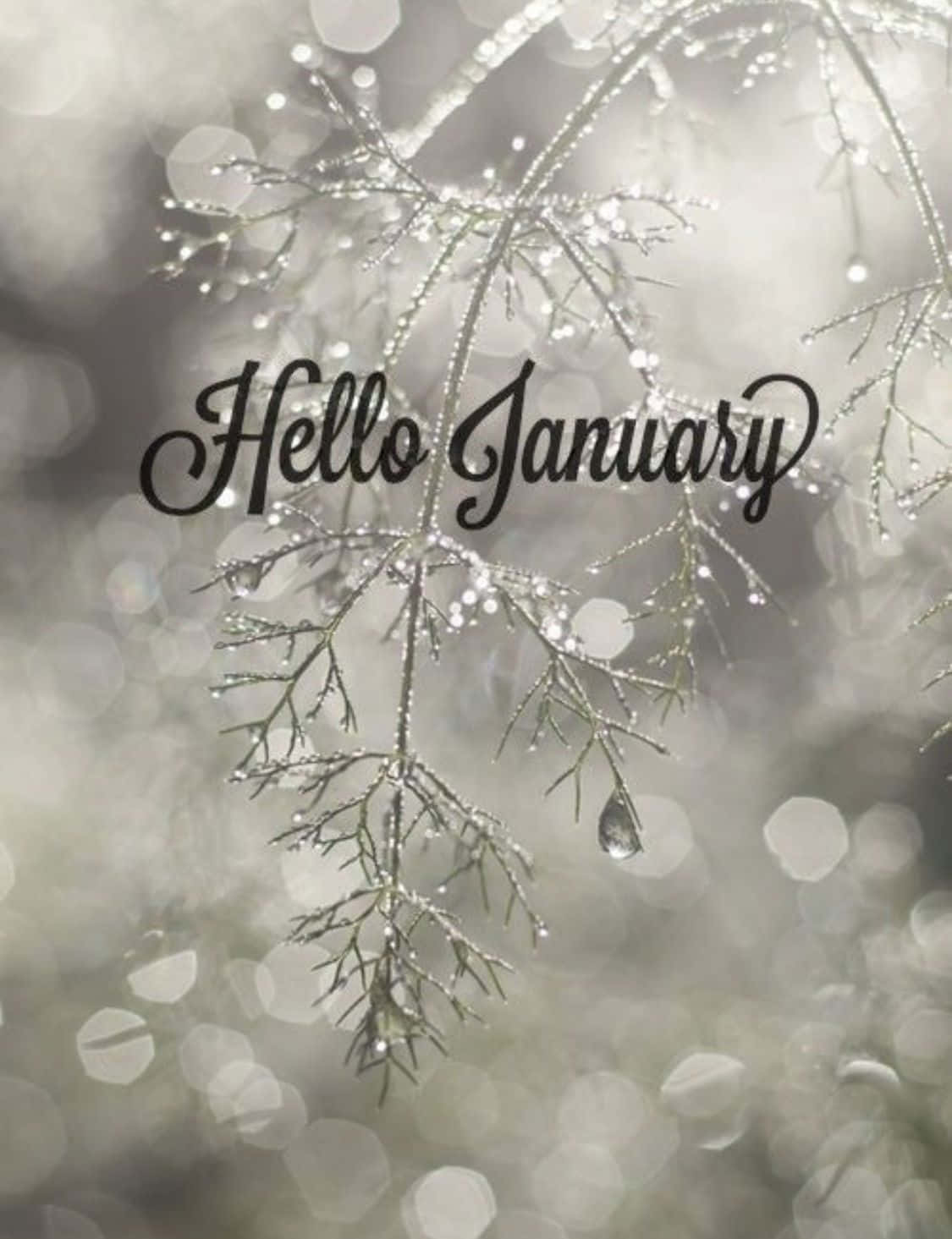 Step into the New Year with January Phone! Wallpaper
